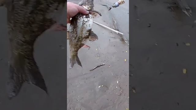 8 сентября 2024 г. смотреть онлайн