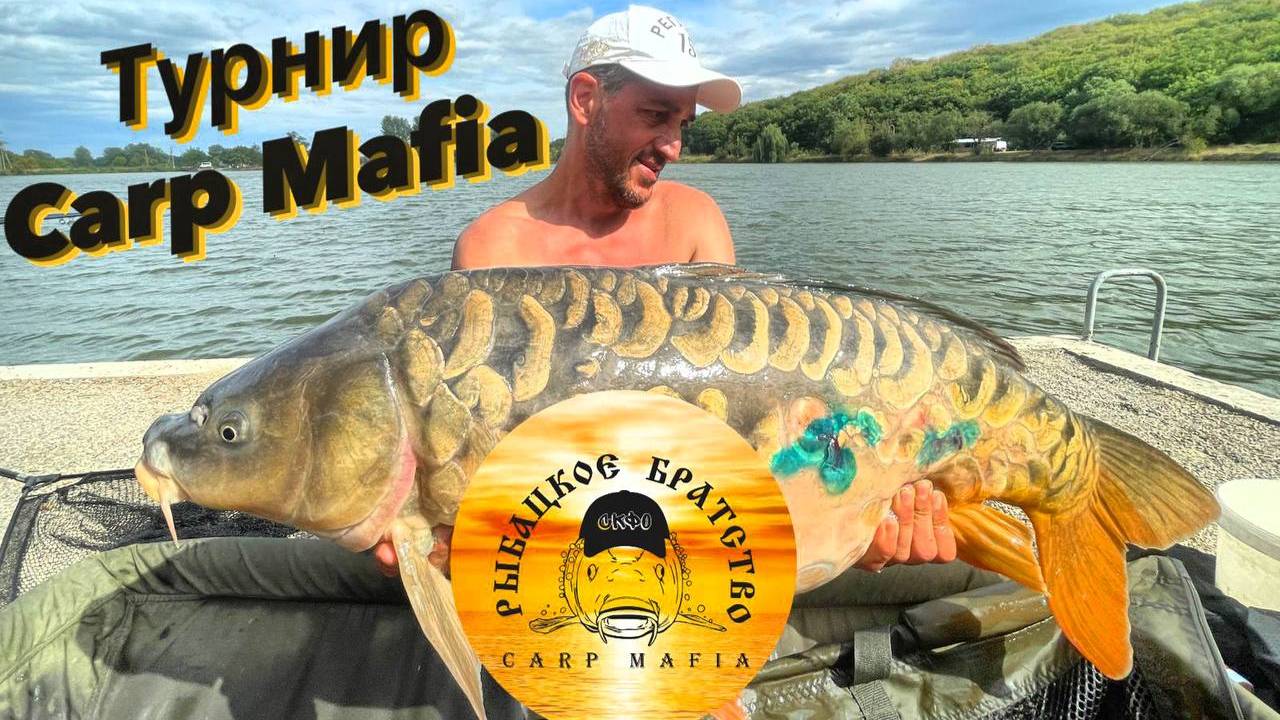 турнир CARP MAFIA