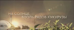 На солнце, вдоль рядов кукурузы (фильм 2023)
