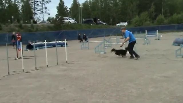 Naala agility maxi 3 TAKUT 2.6.2011 смотреть онлайн