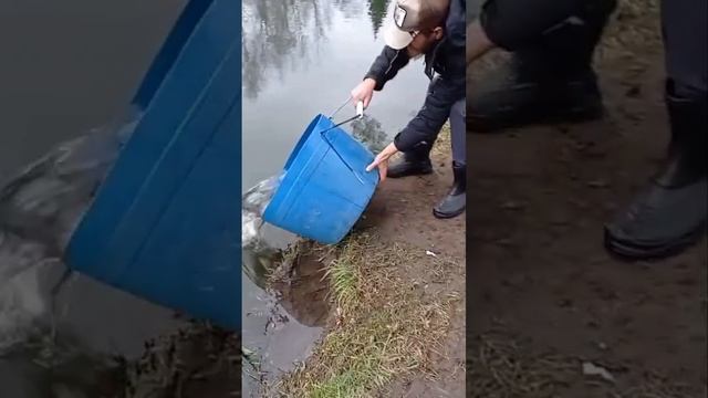 запуск смотреть онлайн
