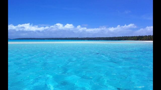 customer-insight_by_pineapple music смотреть онлайн