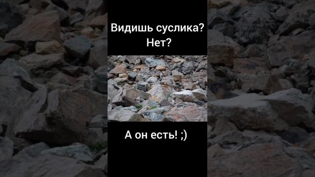 Тест на внимательность смотреть онлайн