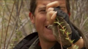 Выжить любой ценой 7 сезон 4 серия «Юта: Красные скалы» (документальный сериал, 2006)