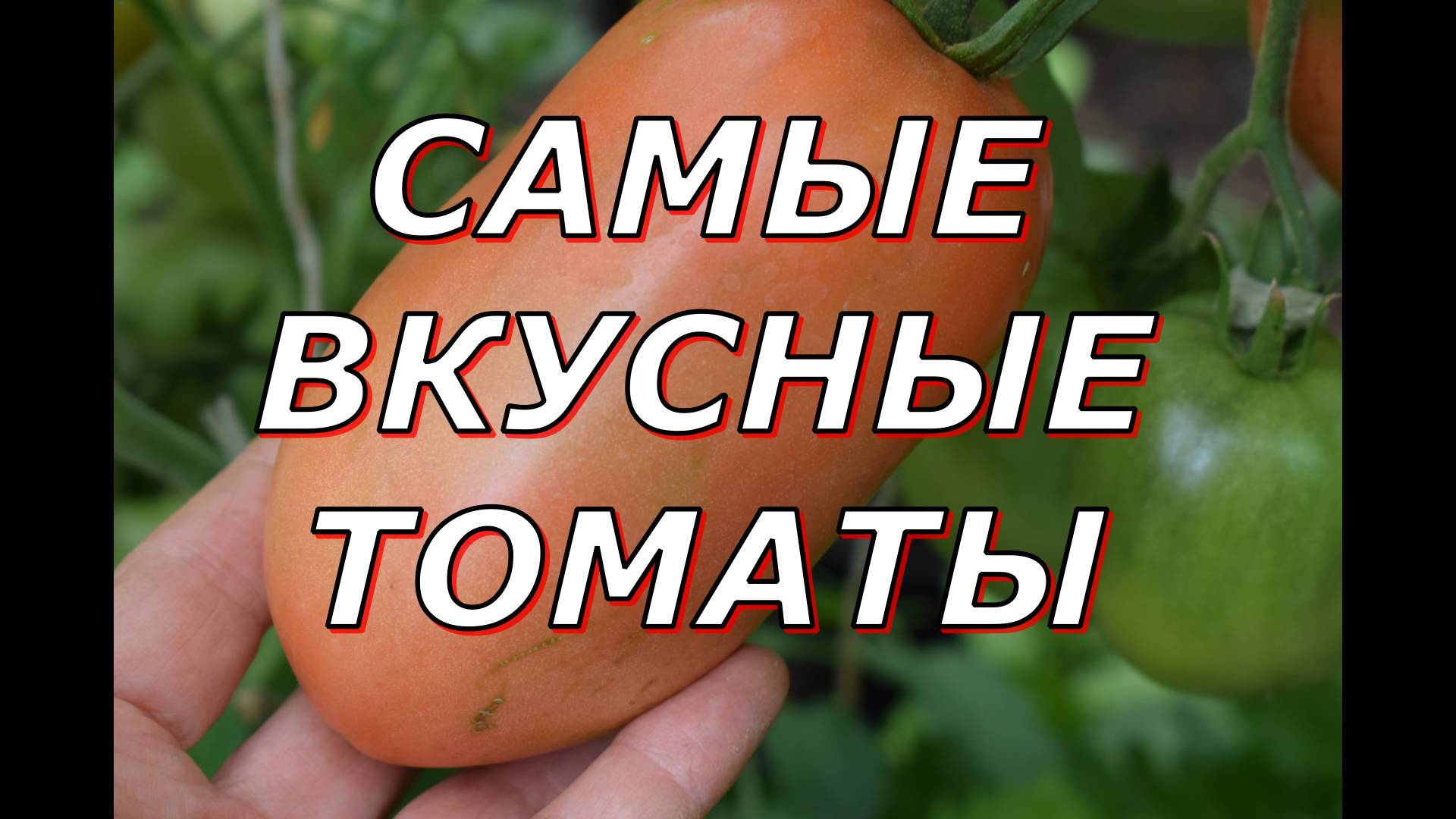 Минусинские стаканы смотреть онлайн