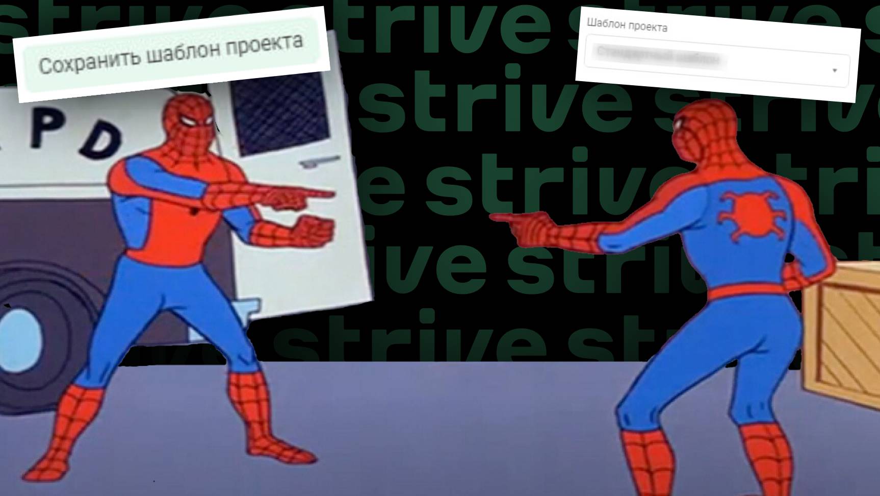 Шаблоны проектов в Strive