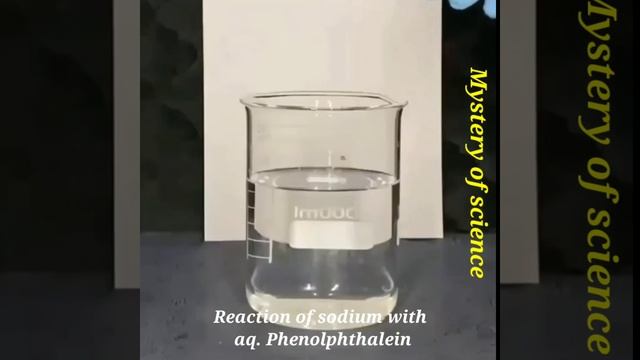 Reaction of phenolphthalein with sodium metal || short | Mystery of science смотреть онлайн