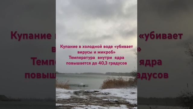 21 ноября 2023 г. смотреть онлайн