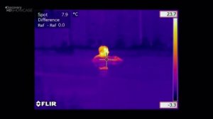 Выжить любой ценой 5 сезон 7 серия «За кулисами дикой природы» (документальный сериал, 2006)