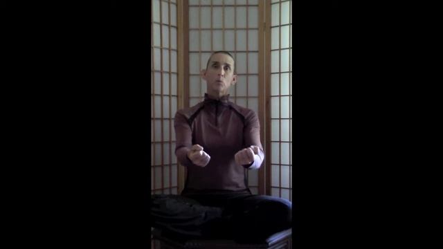 Daily Selfseeds #8 Tempo In Workouts смотреть онлайн