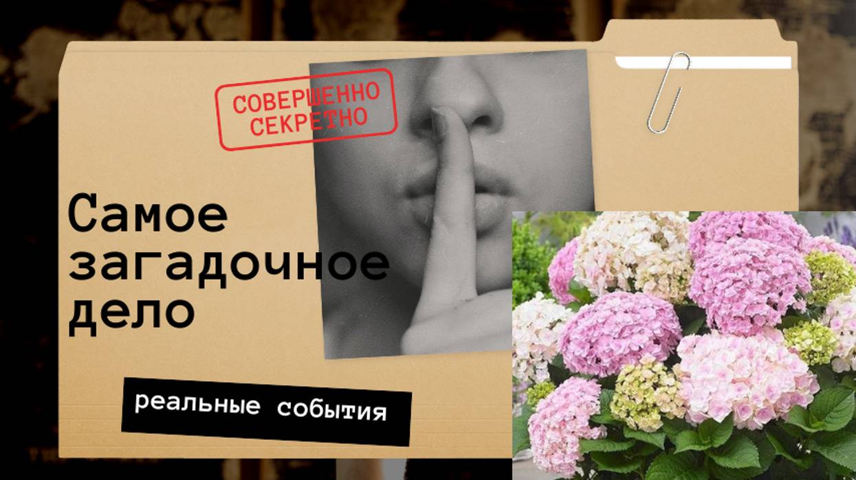 Гортензия крупнолистная серия Доппио в конце сентября 🌺💞 смотреть онлайн