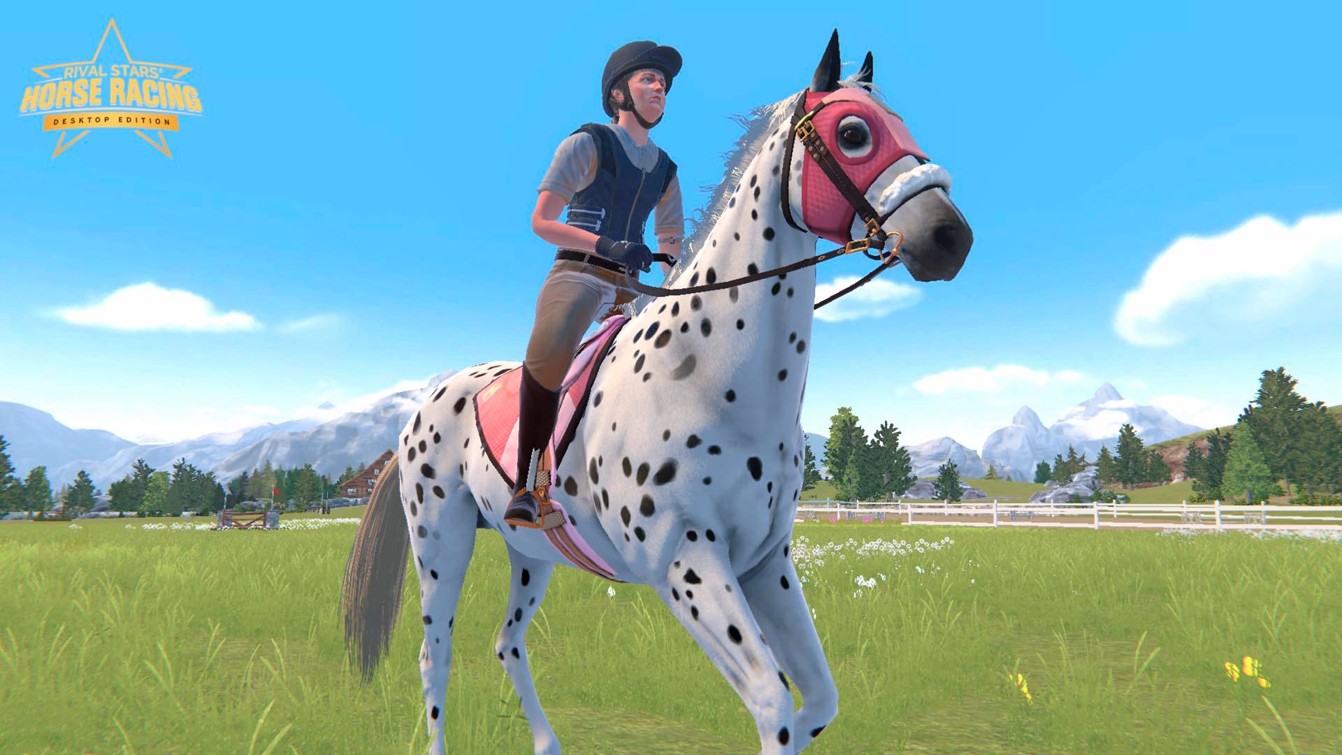 Обновление! Тренировка лошадей, 100 конюшен и сундук чемпиона Star Equestrian