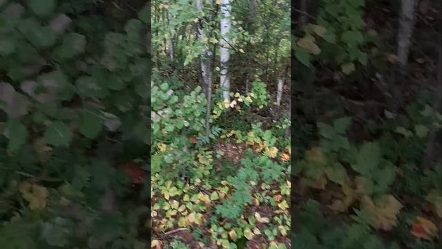 4 сентября 2024 г. смотреть онлайн