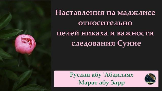 Наставления на маджлисе относительно целей никаха и важности следования Сунне смотреть онлайн