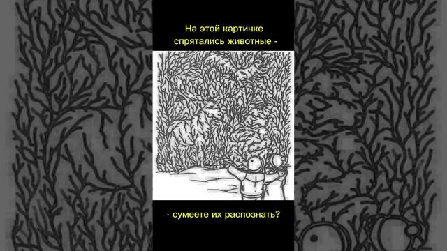 Тест на внимательность смотреть онлайн