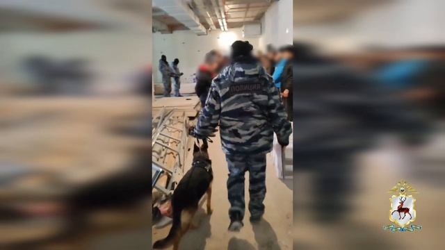 В Дзержинске полицейские выявили факты и нарушения миграционного законодательства смотреть онлайн