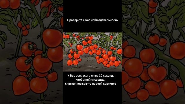 Тест на внимательность смотреть онлайн
