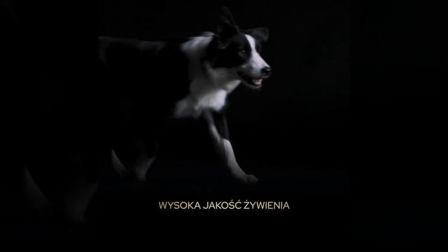 Purina Pro Plan dla zdrowia Twojego psa смотреть онлайн
