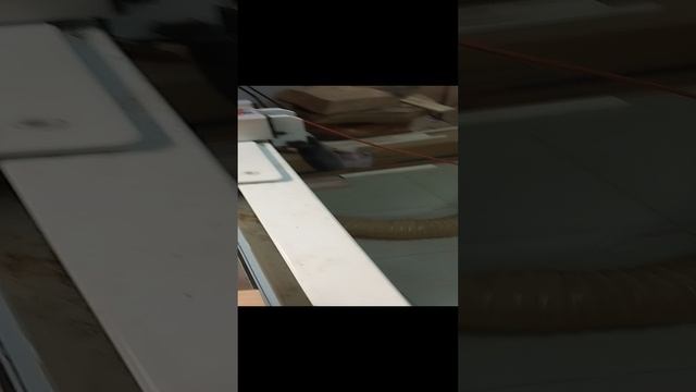 Что делать с этими деревяшками или ясень на халяву смотреть онлайн