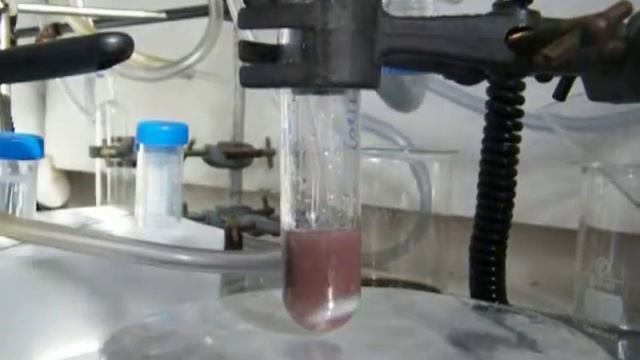 Disproportionation of Cu(I) in DMSO+10% Water смотреть онлайн