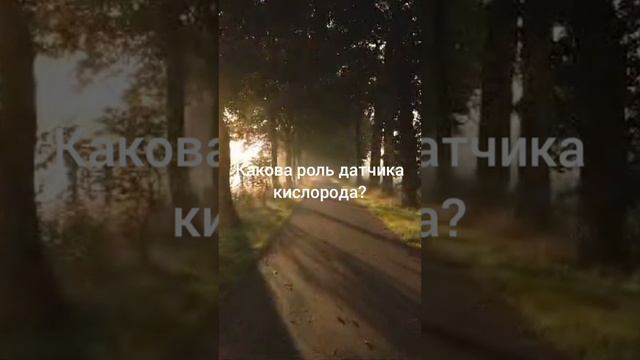 Какова роль датчика кислорода