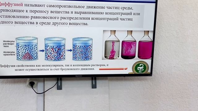 17 декабря 2022 г. смотреть онлайн