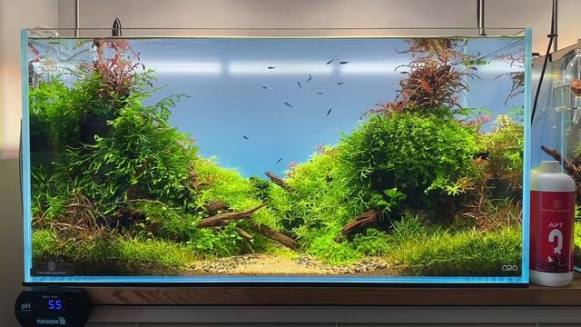 【完全版】CO2添加量の調整方法について【アクアリウム】 смотреть онлайн