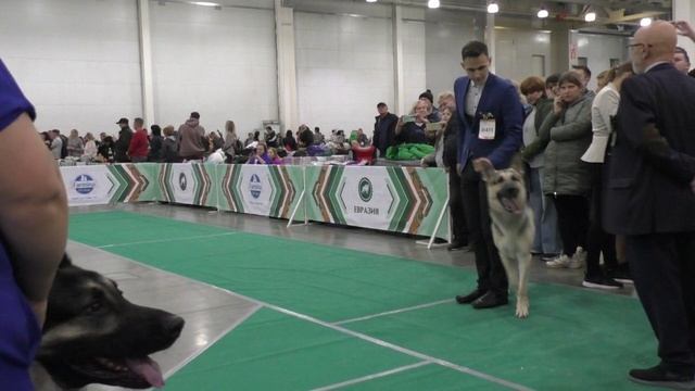 Сравнение на ЛК смотреть онлайн