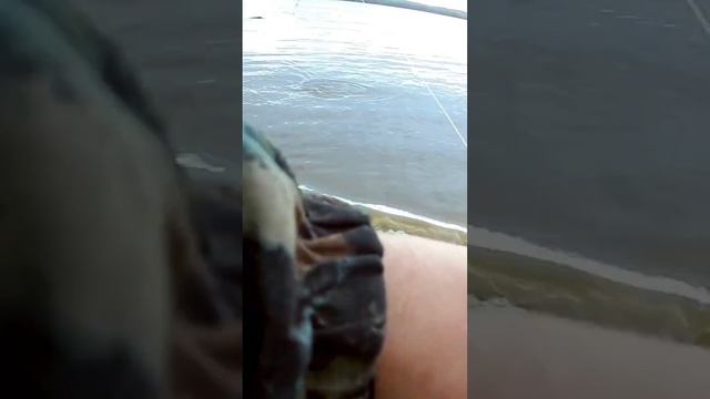 Очередной язь на тапок. смотреть онлайн