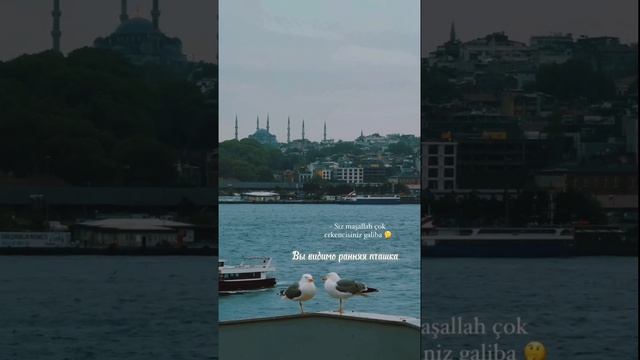 günaydın смотреть онлайн