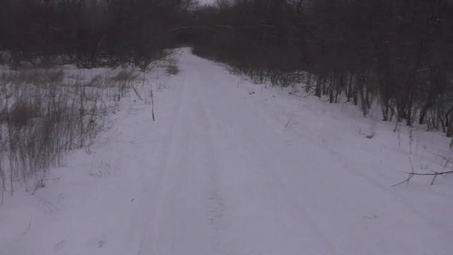 Отзыв и практический тест работы ошейника ARTELV Tracker Solo смотреть онлайн