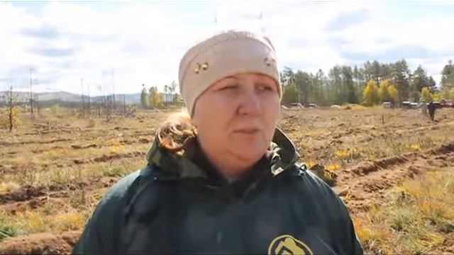 Акция «Живи лес» в Чите смотреть онлайн