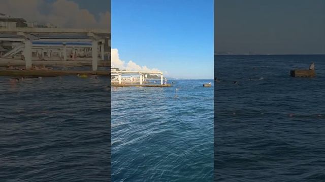 23 июля в Сочи / пляж 🏝️ Цирк смотреть онлайн