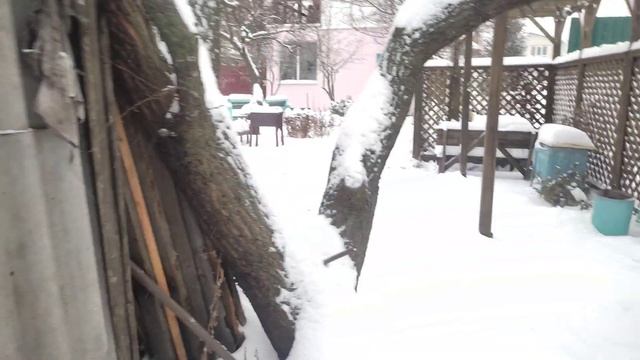 Пока болел настала Зима! Снега налево, снега направо. смотреть онлайн