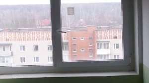 Лифт ЩЛЗ 2008 года (Весенняя улица дом 15) (г.Чехов) 2-подъезд