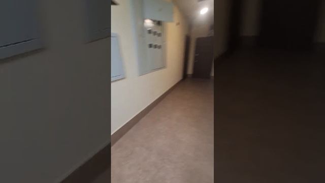 Уборка подъезда жилого комплекса в Туле, компания 