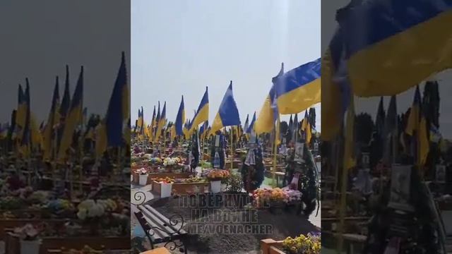 Хмельницкий Контрнаступ смотреть онлайн