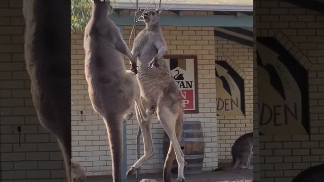 что то не поделили смотреть онлайн