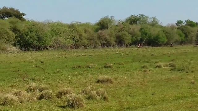 Dt 180 x cg fuçada смотреть онлайн