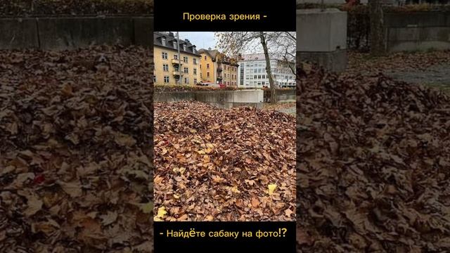 Тест на внимательность смотреть онлайн