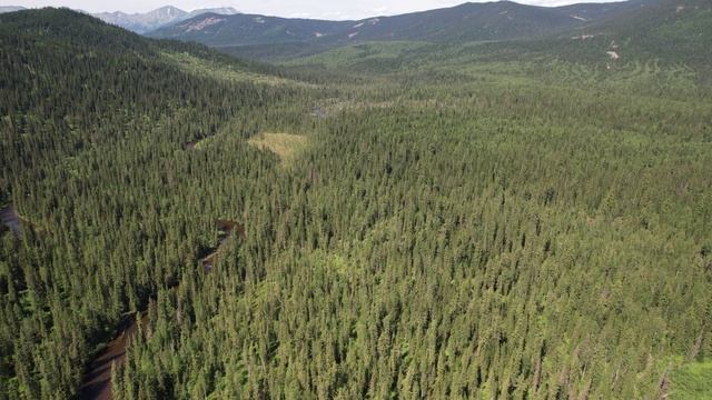 Походная рыбалка на реке, природа с коптера. смотреть онлайн