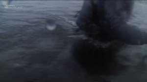 Выжить любой ценой 6 сезон 2 серия «Кейп-Рэт, Шотландия» (документальный сериал, 2006)