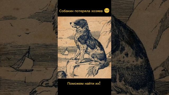 Тест на внимательность смотреть онлайн
