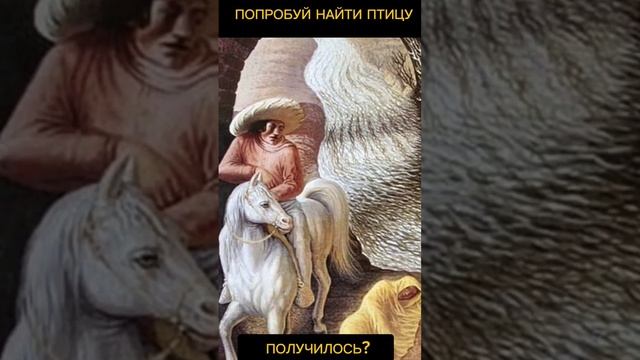 Тест на внимательность смотреть онлайн