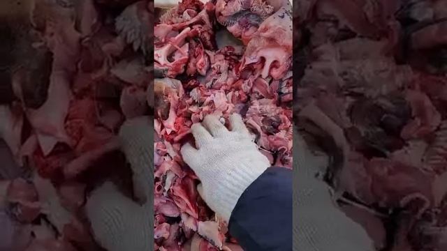 Обрезки с головы с носами