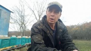 Матки и пчелопакеты на 2025 год