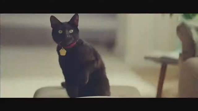 Реклама Heinz Кетчуп Хайнц Кот смотреть онлайн