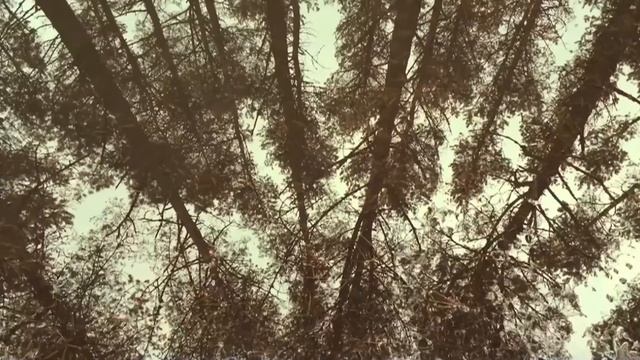 Пикник желаний смотреть онлайн