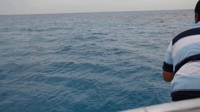 fishing in red sea смотреть онлайн