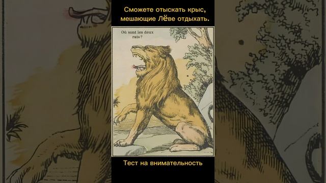 Тест на внимательность смотреть онлайн